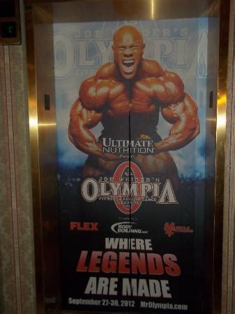 mr olympia gambling